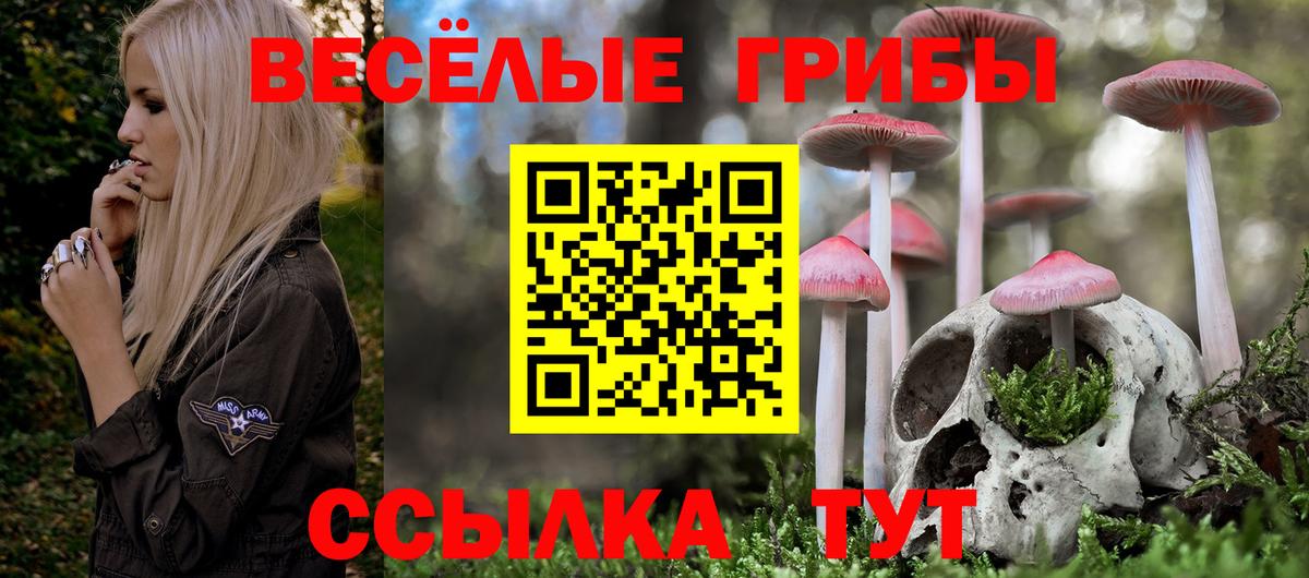Псилоцибиновые грибы прущие грибы Магнитогорск